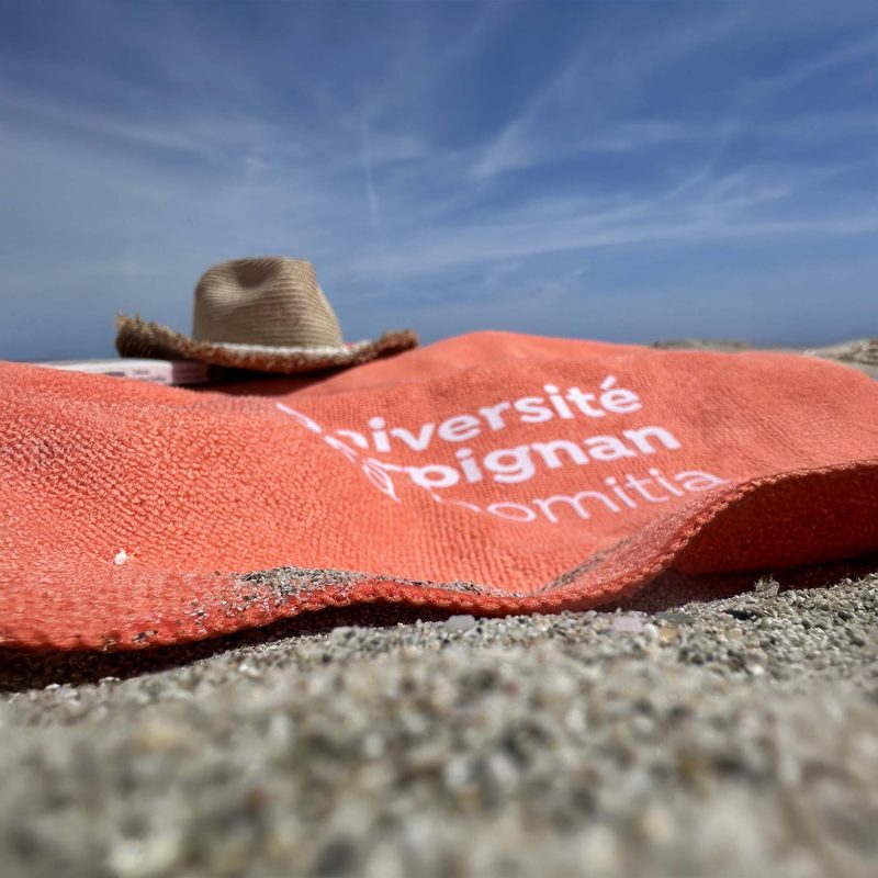 Serviette de plage